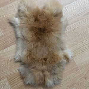 Soft Brown rabbit pelt